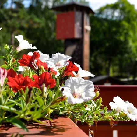 Trollaktiv Village de vacances *