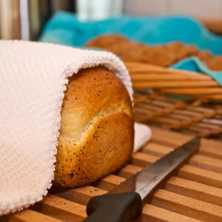 Trollaktiv Village de vacances Evje